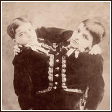 Tocci Brothers